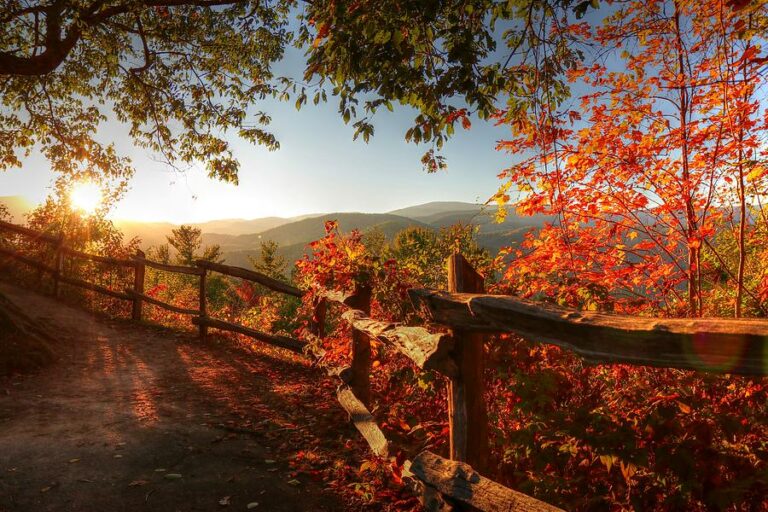 AUTUMN IN THE GREAT SMOKY MOUNTAINS TLC Tours